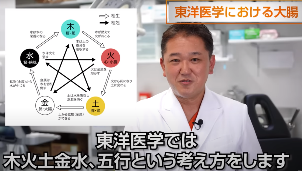 東洋医学における大腸